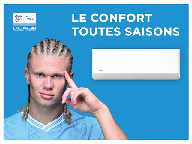 Domestique